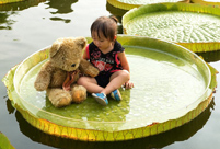Tourists float with lotus in park in Taipei
