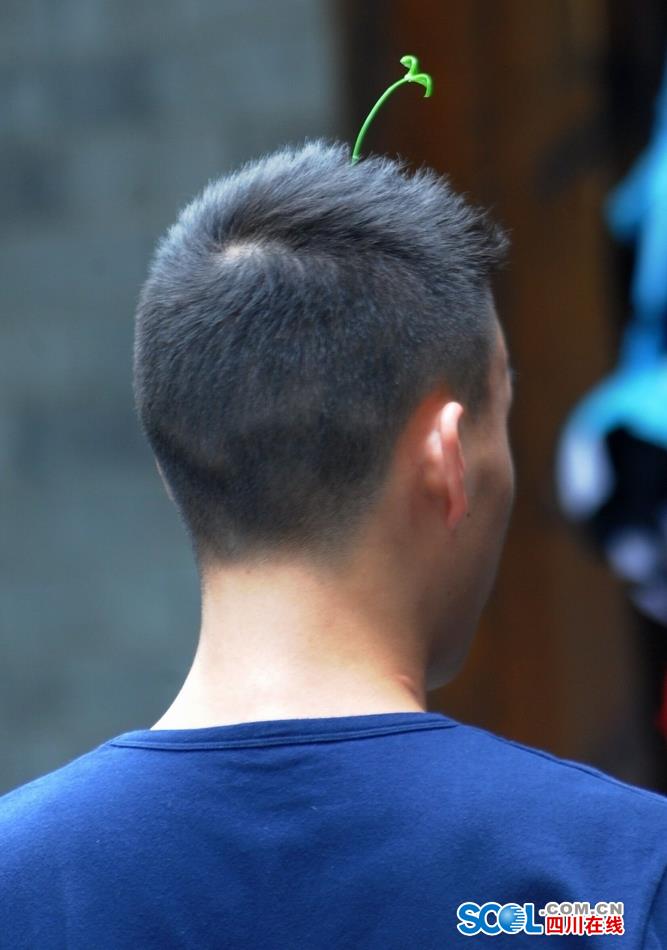 Look！Bean sprouts flowers grow on head