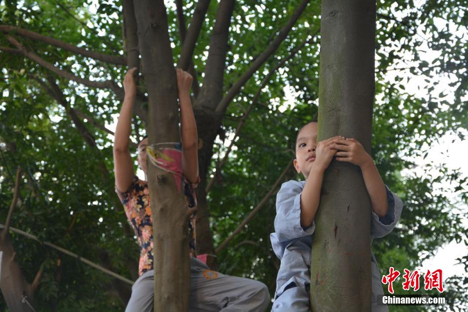 Holding a tree for one hour - special test for Kung Fu learners