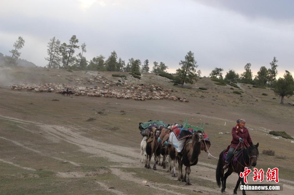 Spectacular migration of herdsmen in Xinjiang