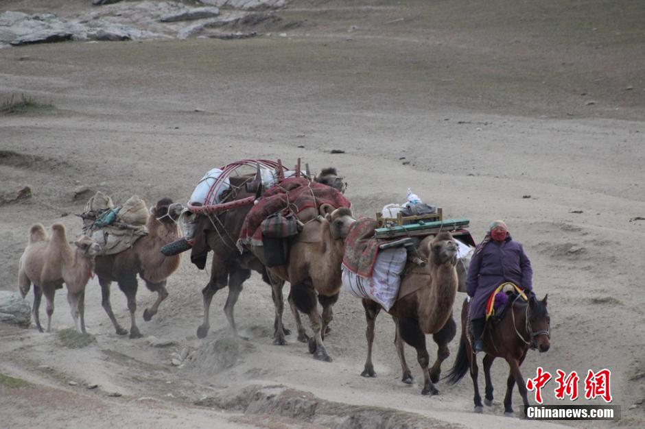 Spectacular migration of herdsmen in Xinjiang