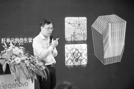 Chinese scientists 3D-print building blocks of liver