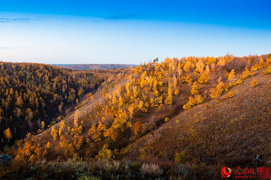 Breathtaking autumn scenery in Mt. Huashan