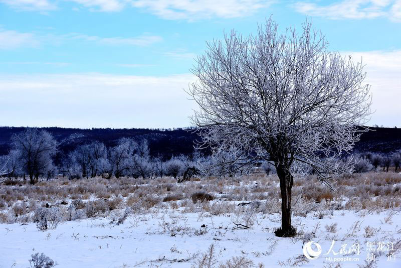 Rime scenery along the Heilongjiang River