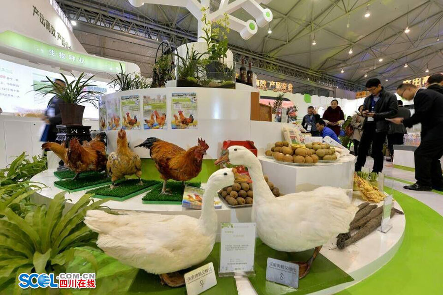 Agricultural Exposition brings you into a fresh world
