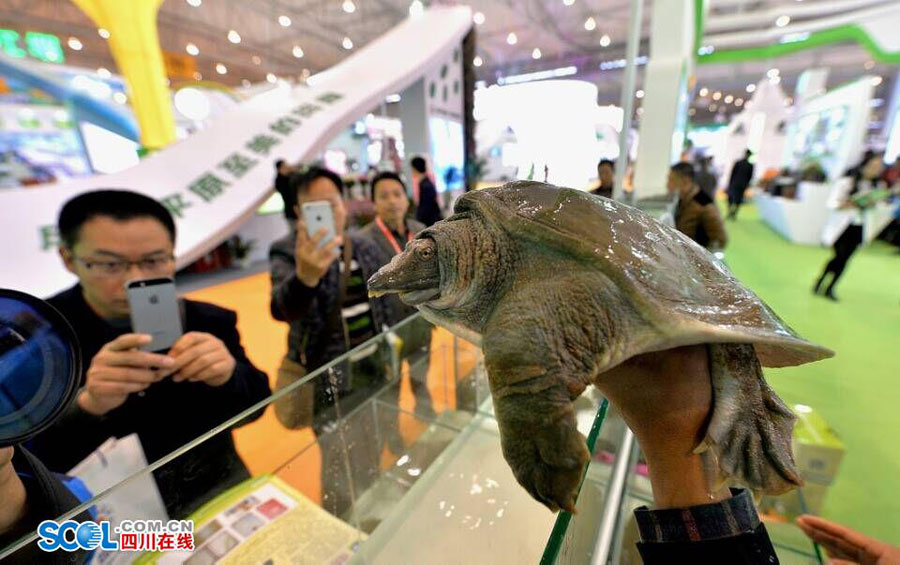 Agricultural Exposition brings you into a fresh world
