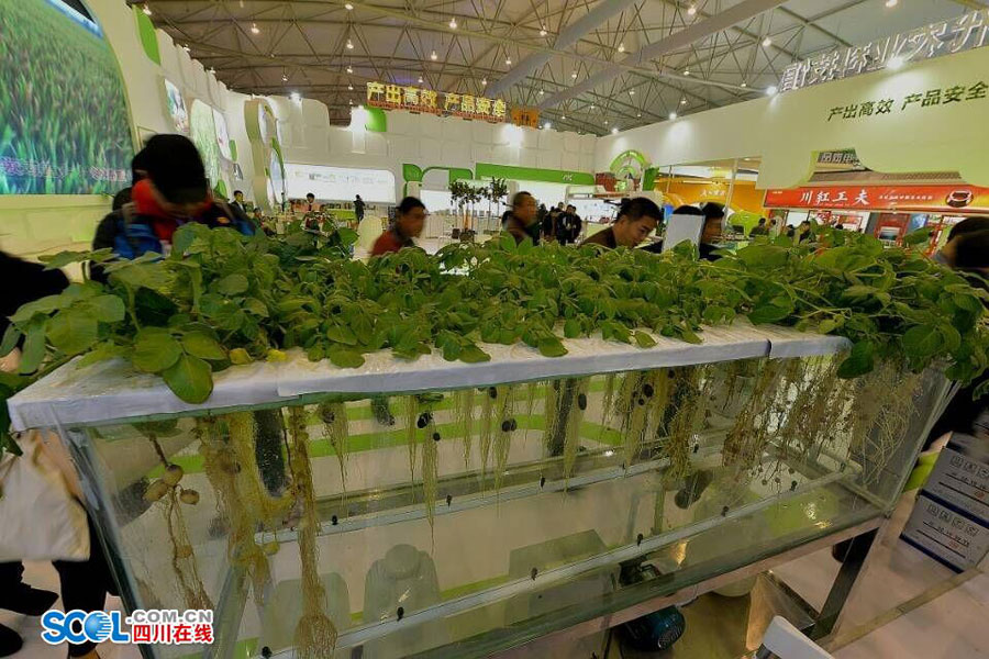 Agricultural Exposition brings you into a fresh world

