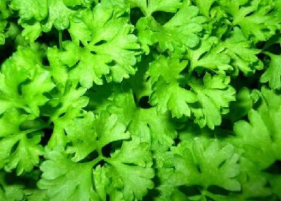 14 kinds of food scraps have amazing health effects
