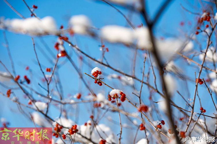 Breathtaking Bullet Train traveling through Juyongguan Pass
