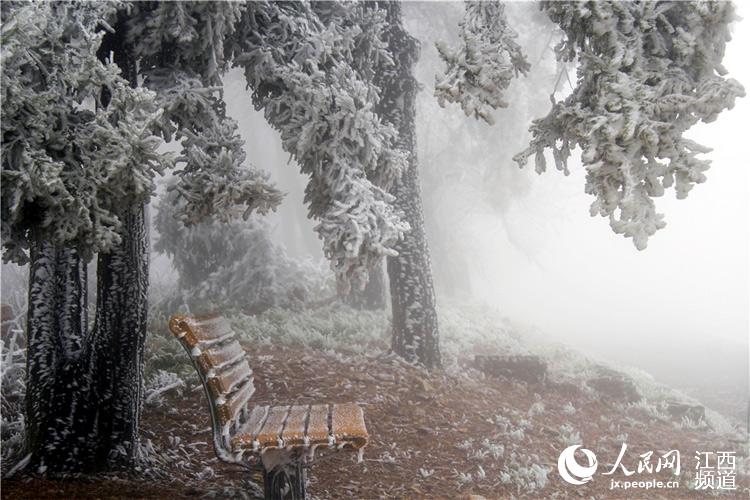 Rime scenery turns Lu Mountain into a fairyland in Jiangxi
