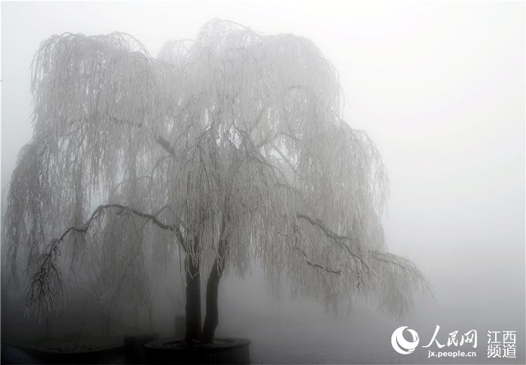 Rime scenery turns Lu Mountain into a fairyland in Jiangxi
