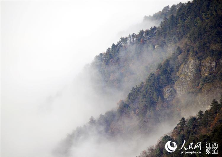 Rime scenery turns Lu Mountain into a fairyland in Jiangxi
