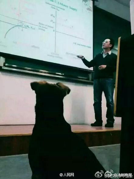 'Super scholar dog' in Wuhan University goes viral online
