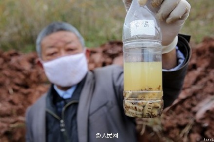 78 nests of termites dug out of reservoir in Sichuan

