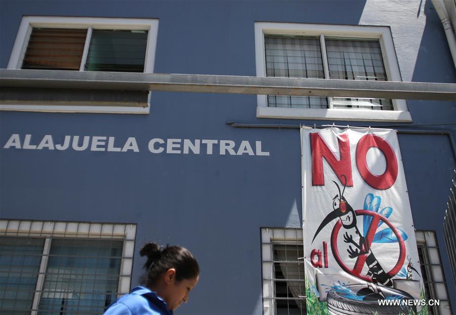 WHO launches global response to address Zika spread