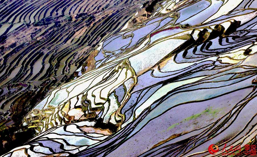 Breathtaking terrace scenery in Yunnan
