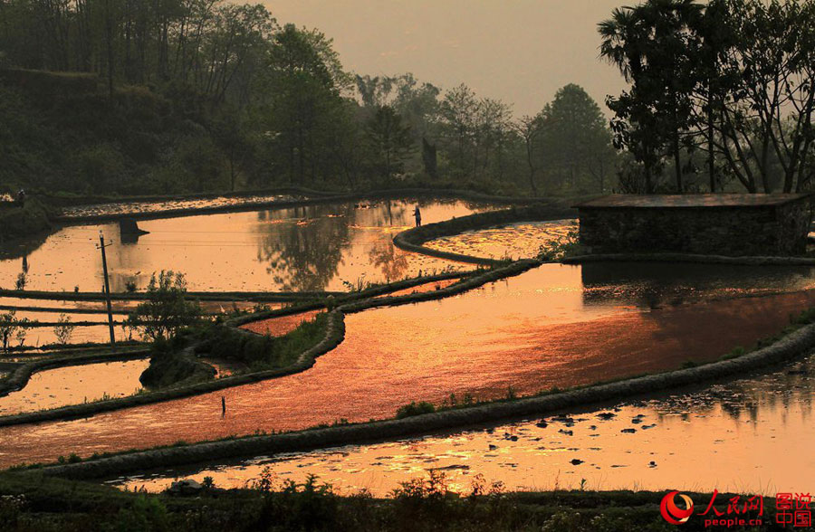 Breathtaking terrace scenery in Yunnan
