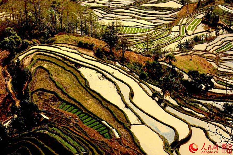 Breathtaking terrace scenery in Yunnan
