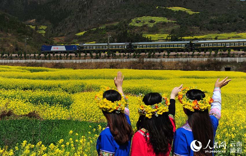 Tourist-dedicated trains run for flower season in Yunnan