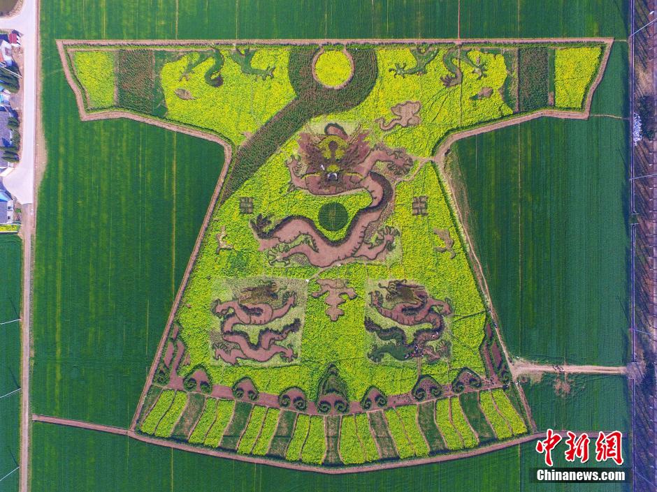 Imperial Dragon Robe Painted with Rape Flowers