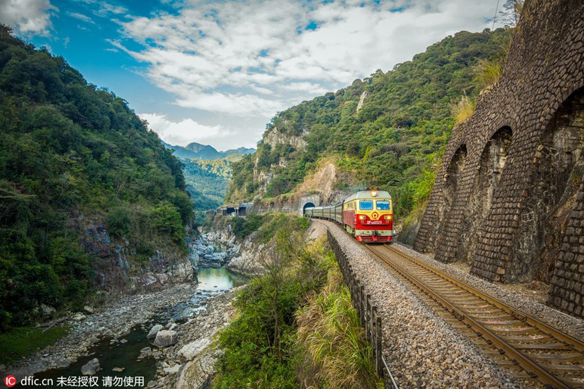 Train rides through blossoms