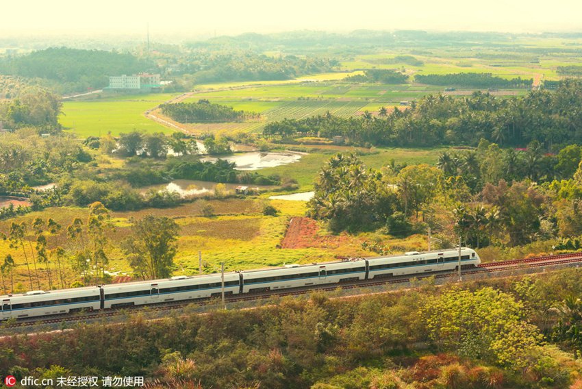 Train rides through blossoms
