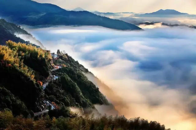 The most beautiful forest trails in East China's Zhejiang