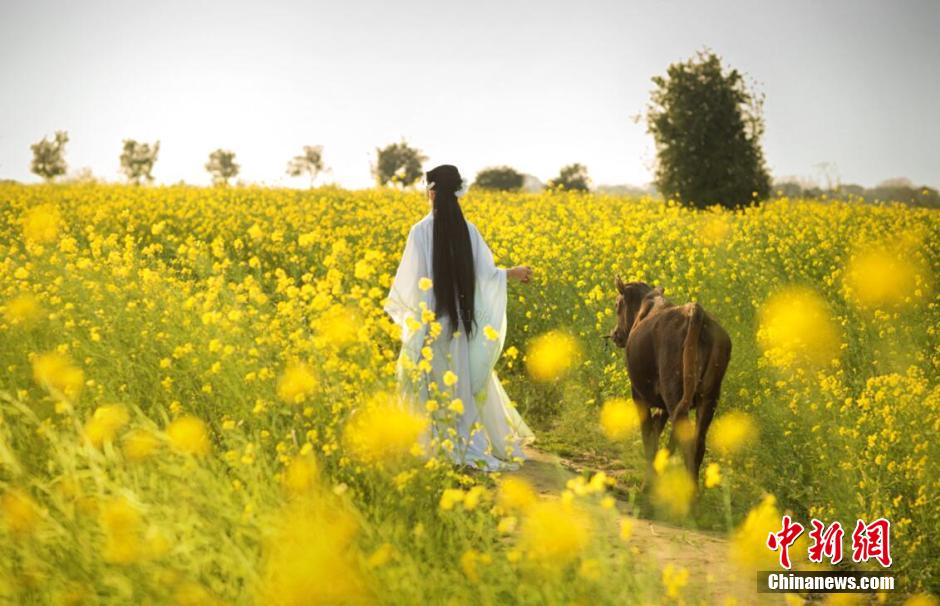 Female official wearing traditional Han costume to promote local tourism