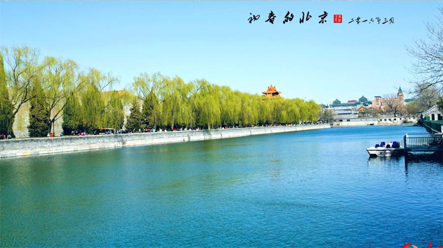 Spring scenery of Beijing