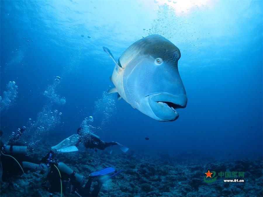 Amazing scenery of Xisha Islands