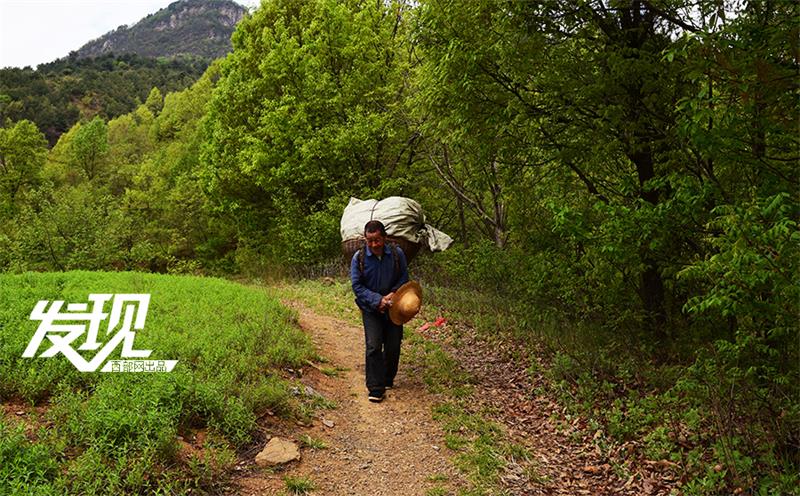 Beautiful scenery of Wufeng Mountain in Shaanxi province
