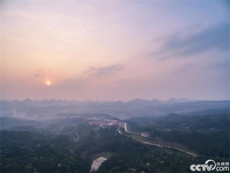 A sea of azaleas in Guizhou province