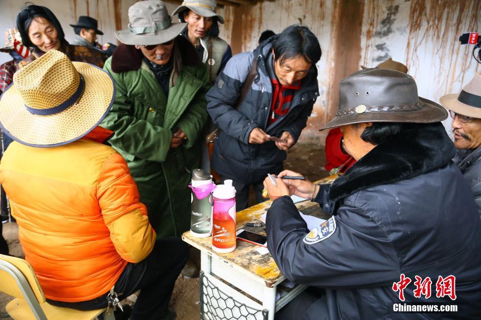 Cordyceps diggers camp out on Chinese plateau