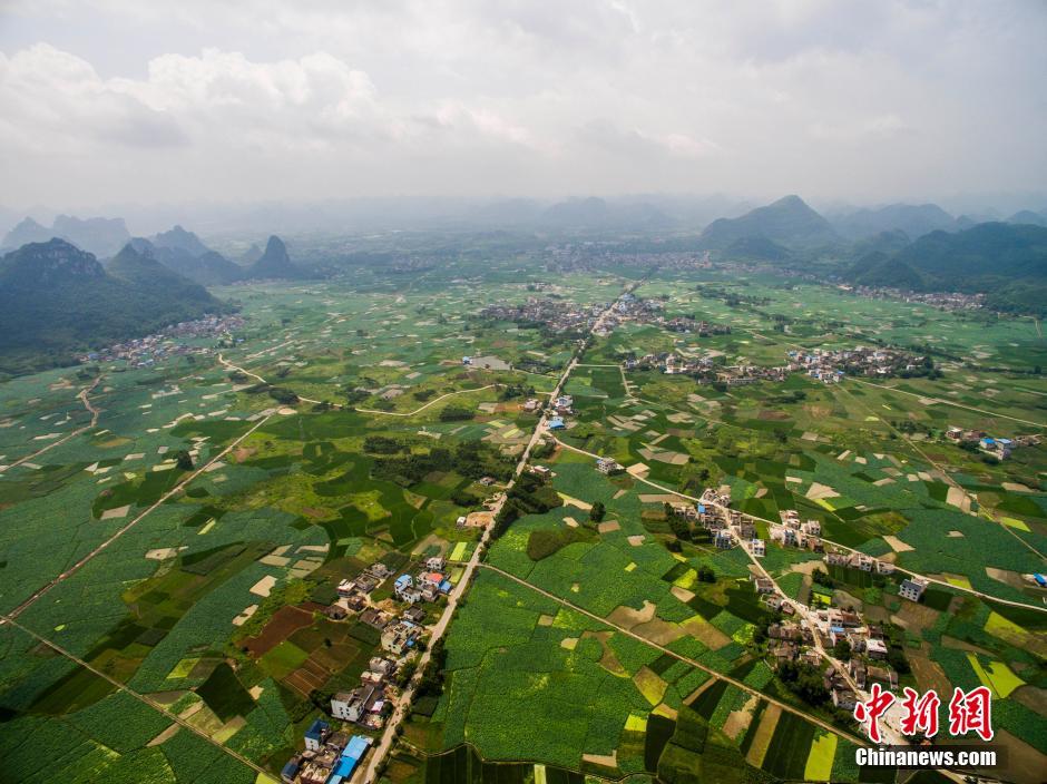 Splendid view of large lotus pool in Guangxi