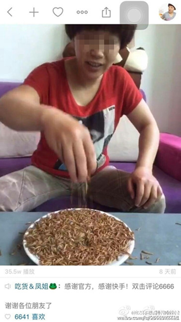 Chinese woman stream herself eating live goldfish, eel, mealworms live