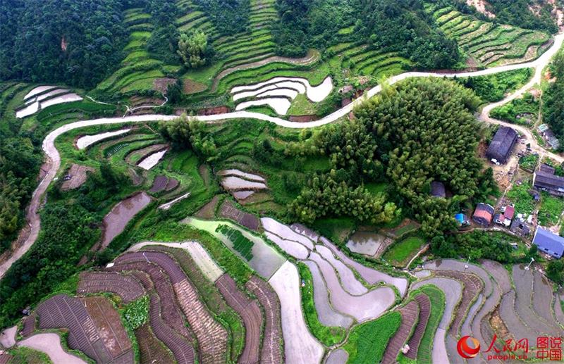 Terraced fields in Zhejiang