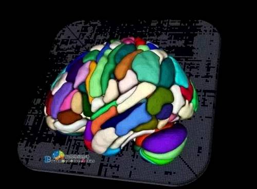 Chinese scientists lead research to finish totally new human brain mapping