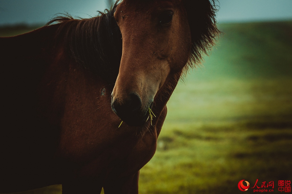Breathtaking scenery of Hulun Buir grassland