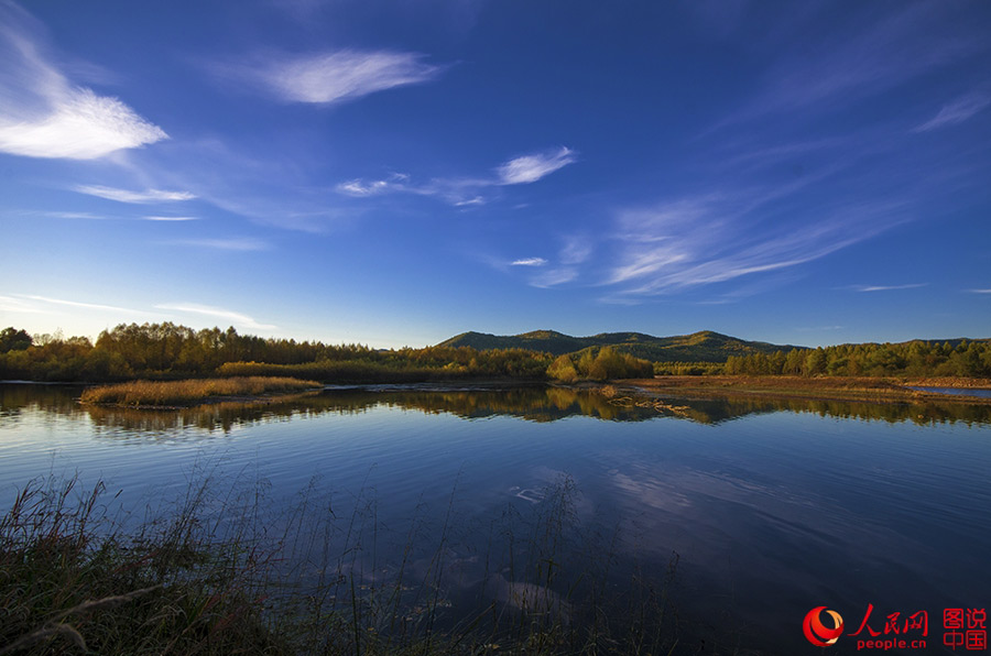 Beautiful autumn foliage around Greater Khingan Mountains
