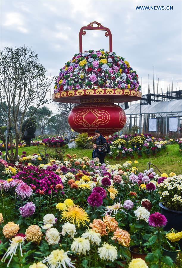 CHINA-ZHEJIANG-CHRYSANTHEMUM EXHIBITION(CN) 