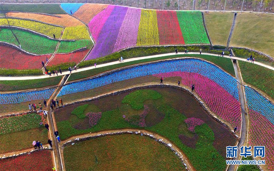 Tulips create colorful picture for visitors in Jiangxi