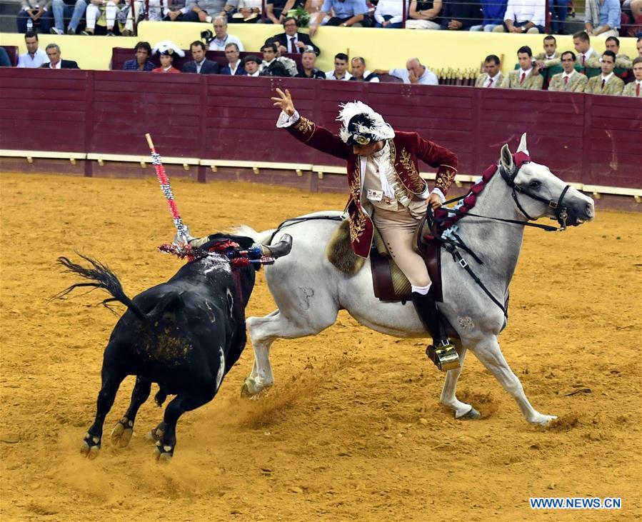 Highlights of bullfighting in Lisbon, Portugal