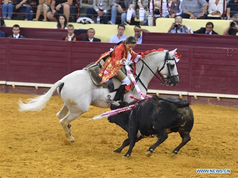 Highlights of bullfighting in Lisbon, Portugal