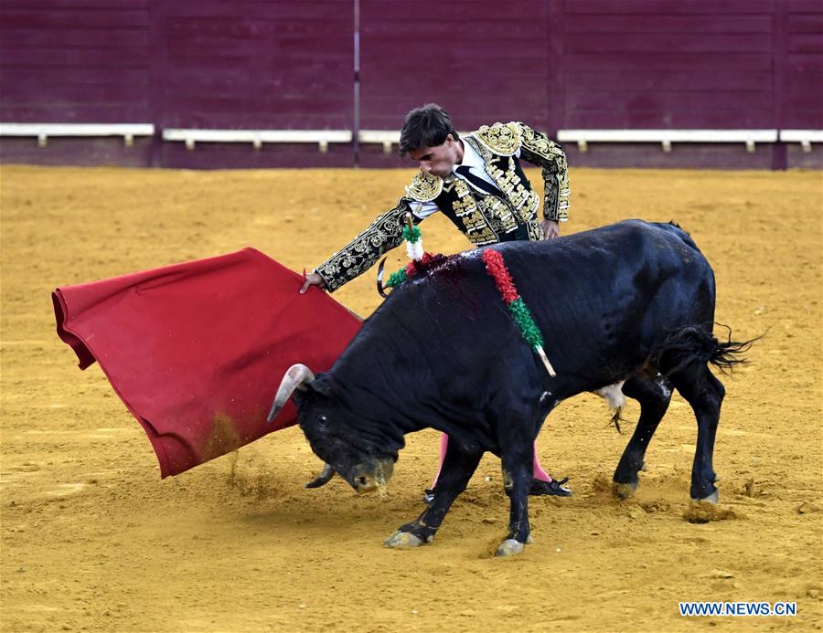 Highlights of bullfighting in Lisbon, Portugal