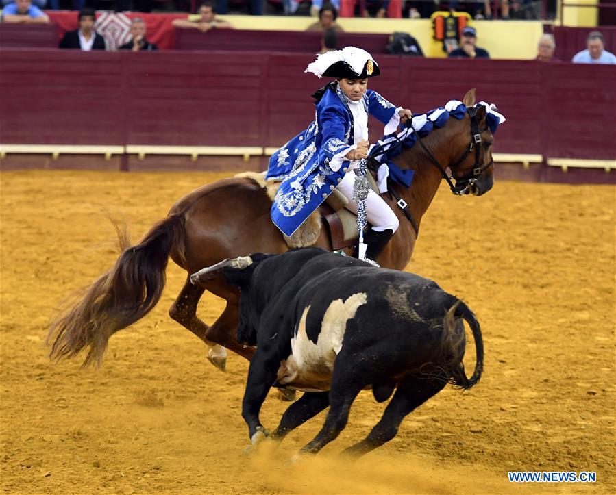Highlights of bullfighting in Lisbon, Portugal