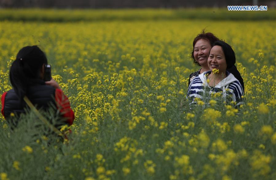 Cole flower fields seen in southwest China's Sichuan