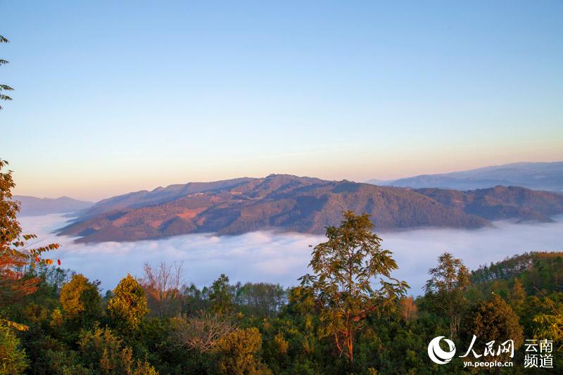 Breathtaking sea of clouds over Jingmai Mountain in Yunnan