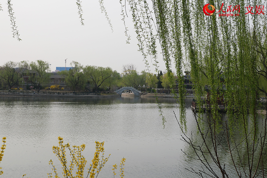Beijing residents head to bookstores and parks as spring beckons