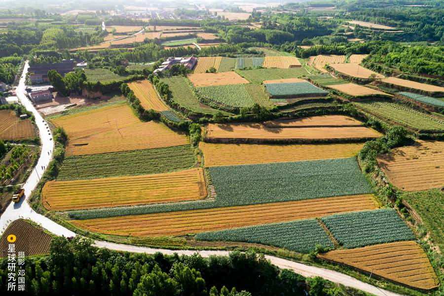 Hi, I’m China: Henan, the birth place of Chinese civilization