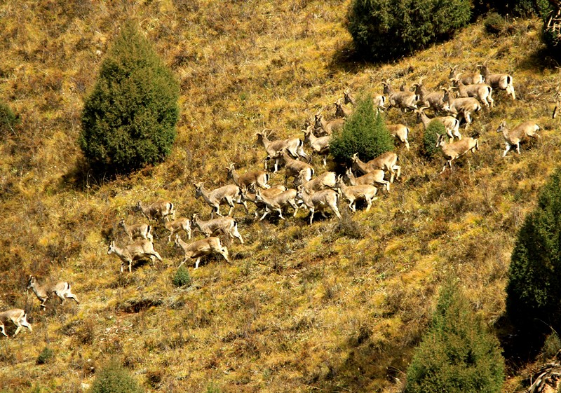 To build a prosperous, clean and beautiful world